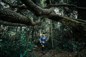 BIB: 
                            <button type="button" onclick="openModal(25706088)" class="btn btn-primary btn-sm float-right btn-popup" data-toggle="modal" data-target=".modal-high-quality">
                        <i class="fas fa-shopping-cart"></i> Add to Cart
                    </button>
                                            <button type="button" onclick="isThisMe(25706088, true)" class="btn btn-success btn-sm float-right btn-popup btn-isme hidden" data-toggle="tooltip" data-placement="bottom" title="นี่คือรูปของคุณใช่ไหม คลิกที่นี่เพื่อเอาเข้าอัลบั้ม">
                        <i class="fas fa-plus"></i> Add to album
                    </button>
                    <button type="button" onclick="isThisMe(25706088, false)" class="btn btn-warning btn-sm float-right btn-popup btn-isnotme hidden">
                        <i class="fas fa-ban"></i> Remove from album
                    </button>